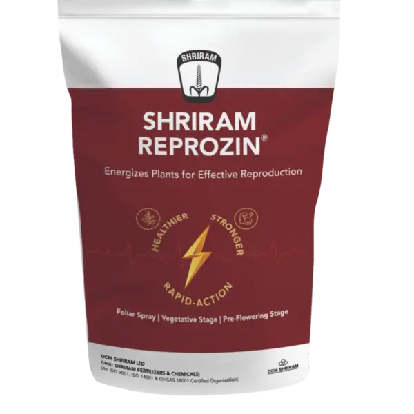 Reprozin Shriram 500gm