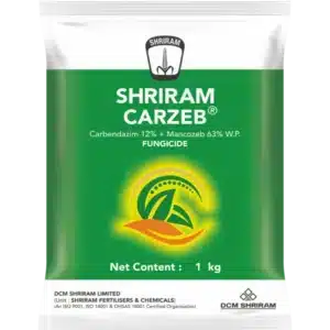 Shrirma Carzeb