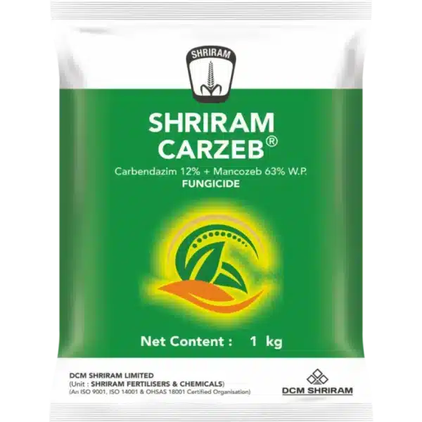 Shrirma Carzeb