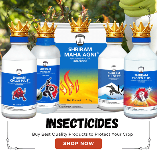 Insecticides