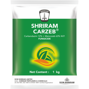 Shriram Carzeb