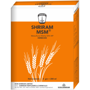 Shriram MSM