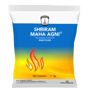 Shriram Maha Agni