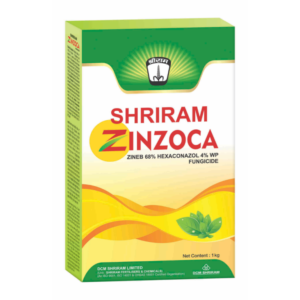 Shriram Zinzoca
